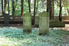 Zeven  ist eine Stadt im Landkreis Rotenburg (Wümme) in Niedersachsen;  Kulturdenkmal jüdischer Friedhof.