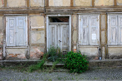 Die Hansestadt  Werben  (Elbe) ist eine Stadt im  Landkreis Stendal in Sachsen-Anhalt; alte Holztür - Wildkraut auf der Eingangstreppe - geschlossene Fensterläden.