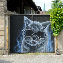 Wittenberge  ist eine Stadt im Landkreis Prignitz in Brandenburgs;  Bild auf einem Holztor - coole Katze mit Sonnenbrille.