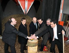 Eröffnung Holzheizkraftwerk Hamburg Lohbrügge, 2009; Mit einem symbolischen Knopfdruck wird das Holzheizkraftwerk  offiziell gestartet. Die Hamburger Stadtentwicklungs- und Umweltsenatorin Anja Hajduk(2.v.lks.) re. daneben der Saga/GWG-Vorstandsvorsi