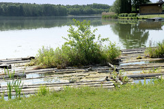 Alte Flöße mit Wildkraut, Bootssteg am Oberpfuhl -  -  Fotos von der Stadt Lychen im Landkreis Uckermark in Brandenburg.