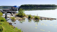 Alte Flöße mit Wildkraut, Bootssteg am Oberpfuhl - -  Fotos von der Stadt Lychen im Landkreis Uckermark in Brandenburg.