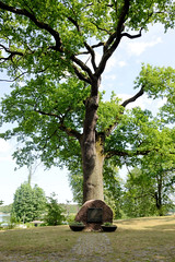 Gedenkstein an den ehem. jüdischen Friedhof  -  Fotos von der Stadt Lychen im Landkreis Uckermark in Brandenburg.