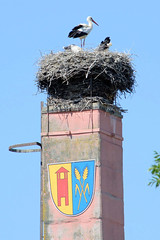 Storchennest auf einem Fabrikschornstein, Wappen - Fotos von Alt Brenz, Ortsteil der Gemeinde Brenz  im Landkreis Ludwigslust-Parchim in Mecklenburg-Vorpommern.