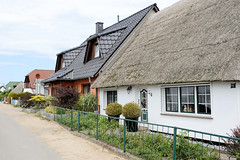 Einzelhäuser an der Peenestraße - Fotos vom Seebad Zempin auf der Insel Usedom, Landkreis Vorpommern Greifswald im Bundesland Mecklenburg-Vorpommern.