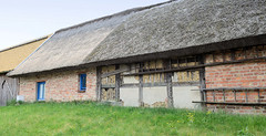 Reetdachschuppen, Fachwerk teilw. mit Astwerk und Lehm gefüllt   - Fotos vom Seebad Zempin auf der Insel Usedom, Landkreis Vorpommern Greifswald im Bundesland Mecklenburg-Vorpommern.