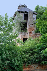 Ruine zwischen Bäumen - Fotos aus Annenwalde,  Gemeindeteil im Ortsteil Densow der Stadt Templin im Landkreis Uckermark in Brandenburg.